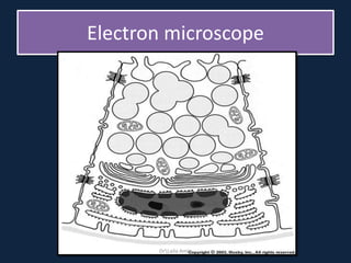 Electron microscope
DrLaila Amin
 