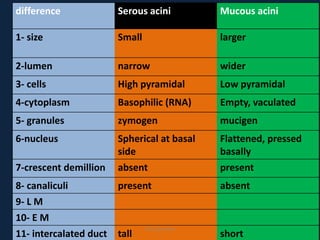 difference Serous acini Mucous acini
1- size Small larger
2-lumen narrow wider
3- cells High pyramidal Low pyramidal
4-cytoplasm Basophilic (RNA) Empty, vaculated
5- granules zymogen mucigen
6-nucleus Spherical at basal
side
Flattened, pressed
basally
7-crescent demillion absent present
8- canaliculi present absent
9- L M
10- E M
11- intercalated duct tall short
DrLaila Amin
 