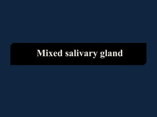 Mixed salivary gland
 