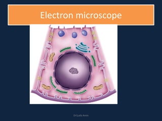 Electron microscope
DrLaila Amin
 