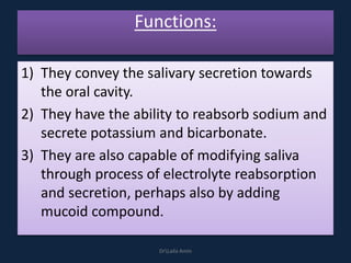 Functions:
1) They convey the salivary secretion towards
the oral cavity.
2) They have the ability to reabsorb sodium and
secrete potassium and bicarbonate.
3) They are also capable of modifying saliva
through process of electrolyte reabsorption
and secretion, perhaps also by adding
mucoid compound.
DrLaila Amin
 