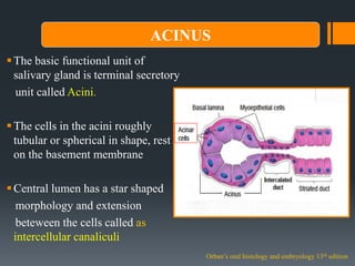 Salivary gland | PPTX