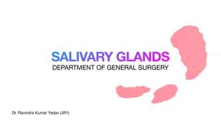 SALIVARY GLANDS
Dr. Ravindra Kumar Yadav (JR1)
DEPARTMENT OF GENERAL SURGERY
 