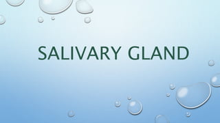 SALIVARY GLAND
 