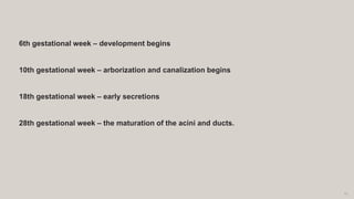 12
6th gestational week – development begins
10th gestational week – arborization and canalization begins
18th gestational week – early secretions
28th gestational week – the maturation of the acini and ducts.
 