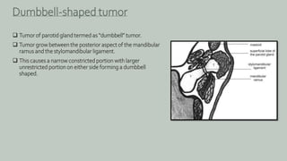  Tumor of parotid gland termed as “dumbbell” tumor.
 Tumor grow between the posterior aspect of the mandibular
ramus and the stylomandibular ligament.
 This causes a narrow constricted portion with larger
unrestricted portion on either side forming a dumbbell
shaped.
Dumbbell-shaped tumor
 