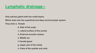 39
Lymphatic drainage:-
Only salivary gland with two nodal layers.
Which drain into the superficial and deep cervical lymph system.
They drain a. Temple
b. Side of the scalp
c. Lateral surface of the auricle
d. External acoustic meatus
e. Middle ear
f. Parotid gland
g. Upper part of the cheek
h. Parts of the eyelids and orbit.
 