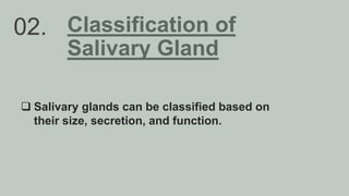 02. Classification of
Salivary Gland
 Salivary glands can be classified based on
their size, secretion, and function.
 