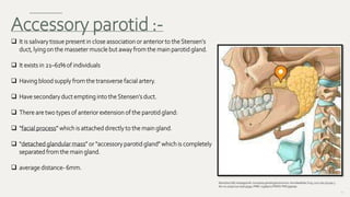 41
Accessory parotid :-
 It is salivary tissue present in close association or anterior to the Stensen's
duct, lying on the masseter muscle but away from the main parotid gland.
 It exists in 21–61% of individuals
 Having blood supply from the transverse facial artery.
 Have secondary duct empting into the Stensen's duct.
 There are two types of anterior extension of the parotid gland:
 “facial process” which is attached directly to the main gland.
 “detached glandular mass” or “accessory parotid gland” which is completely
separated from the main gland.
 average distance- 6mm.
RamacharSM, HuliyappaHA.Accessoryparotidglandtumors.Ann MaxillofacSurg.2012Jan;2(1):90-3.
doi:10.4103/2231-0746.95334.PMID:23483721;PMCID:PMC3591091.
 