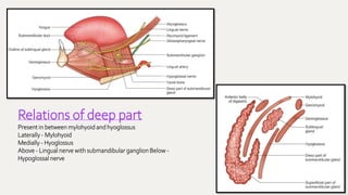48
Relations of deep part
Present in between mylohyoid and hyoglossus
Laterally - Mylohyoid
Medially - Hyoglossus
Above - Lingual nerve with submandibular ganglion Below -
Hypoglossal nerve
 