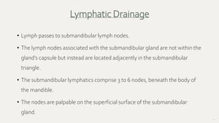 50
• Lymph passes to submandibular lymph nodes.
• The lymph nodes associated with the submandibular gland are not within the
gland’s capsule but instead are located adjacently in the submandibular
triangle.
• The submandibular lymphatics comprise 3 to 6 nodes, beneath the body of
the mandible.
• The nodes are palpable on the superficial surface of the submandibular
gland.
Lymphatic Drainage
 