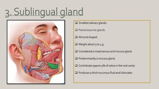 52
3. Sublingual gland
 Smallest salivary glands.
 Paired exocrine glands.
 Almond shaped.
 Weighs about 3 to 4 g.
 Considered a mixed serous and mucous gland.
 Predominantly a mucous gland.
 Contributes approx 5% of saliva in the oral cavity.
 Produces a thick mucinous fluid and lubricates.
 
