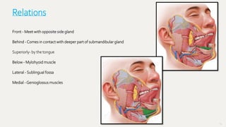 54
Relations
Front - Meet with opposite side gland
Behind -Comes in contact with deeper part of submandibular gland
Superiorly- by the tongue
Below - Mylohyoid muscle
Lateral - Sublingual fossa
Medial -Genioglossus muscles
 