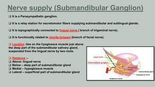 Nerve supply (Submandibular Ganglion)
 It is a Parasympathetic ganglion.
 It is a relay station for secretomotor fibers supplying submandibular and sublingual glands.
 It is topographically connected to lingual nerve ( branch of trigeminal nerve).
 It is functionally related to chorda tympani (branch of facial nerve).
 Location -lies on the hyoglossus muscle just above
the deep part of the submandibular salivary gland,
suspended from the lingual nerve by two roots.
 Relations :-
 Above- lingual nerve
 Below – deep part of submandibular gland
 Medial – hypoglossus muscle
 Lateral – superficial part of submandibular gland
 