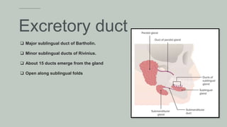  Major sublingual duct of Bartholin.
 Minor sublingual ducts of Rivinius.
 About 15 ducts emerge from the gland
 Open along sublingual folds
Excretory duct
 