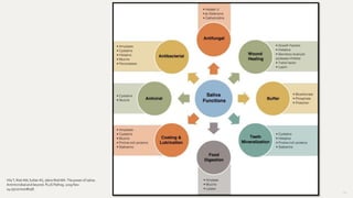 67
Vila T, Rizk AM, SultanAS, Jabra-RizkMA. The powerof saliva:
Antimicrobialand beyond. PLoSPathog.2019Nov
14;15(11):e1008058.
 