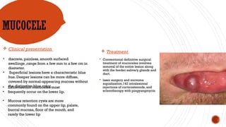 Salivary gland.pptx submandibular gland, | PPTX