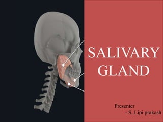 SALIVARY GLAND
SALIVARY
GLAND
Presenter
- S. Lipi prakash
 