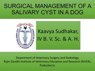 SURGICAL MANAGEMENT OF A
SALIVARY CYST IN A DOG
Kaavya Sudhakar,
IV B. V. Sc. & A. H.
Department of Veterinary Surgery and Radiology,
Rajiv Gandhi Institute of Veterinary Education and Research (RIVER),
Puducherry.
 