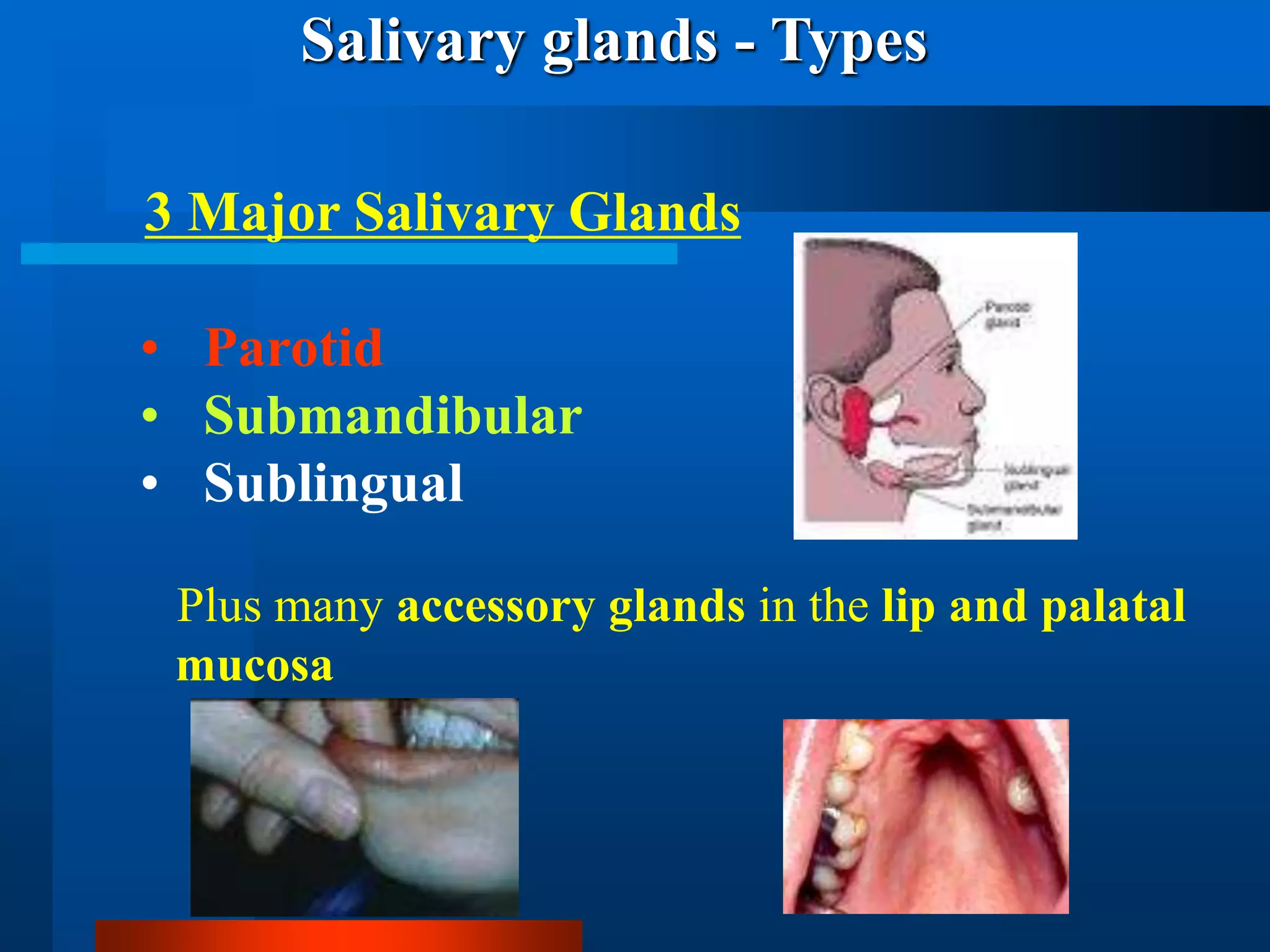 Saliva Types salivary_gland_disease_and_management.ppt