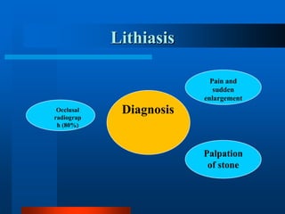 salivary gland diseases..ppt, by professor Dr. Ahmed Al Abbasi | PPT