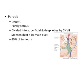 Salivary gland disorders | PPTX