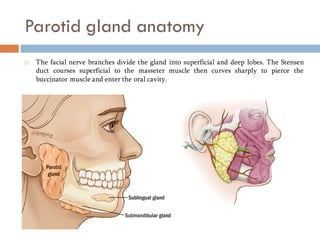 salivary gland disorders.pdf nothing more | PDF