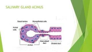 Salivary gland disorders, xerostomia | PPTX