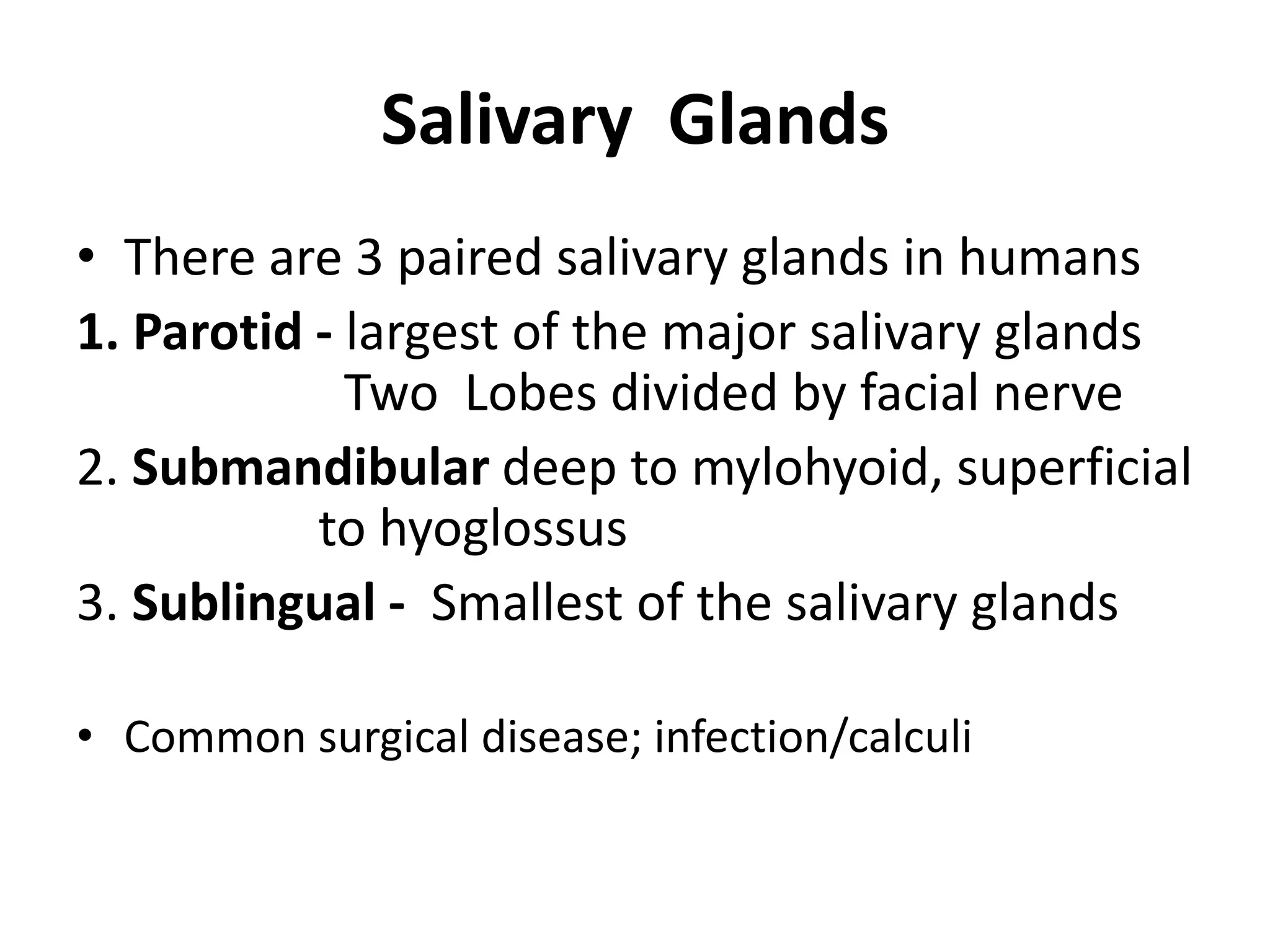 Salivary gland infections | PDF