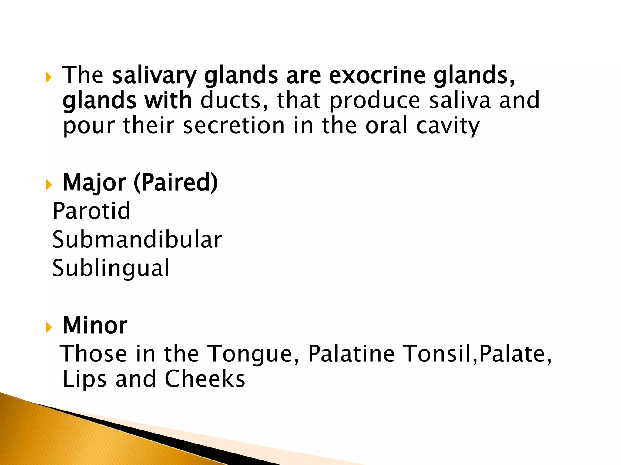 SURGICAL ANATOMY OF SALIVARY GLANDS | PPTX