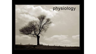 b
physiology
 
