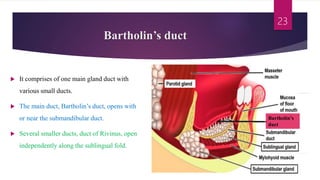 Salivary Gland Ppt PPTX Salivary Gland Ppt PPTX