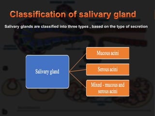 Saliva Types SALIVARY GLAND PPT.pptx