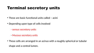 Acinus Functional Unit Salivary glands are exocrine glands ppt.pptx