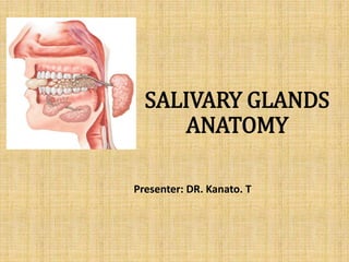 SALIVARY GLANDS
ANATOMY
Presenter: DR. Kanato. T
 