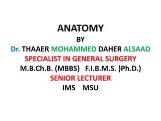 ANATOMY
                    BY
Dr. THAAER MOHAMMED DAHER ALSAAD
     SPECIALIST IN GENERAL SURGERY
   M.B.Ch.B. (MBBS) F.I.B.M.S. )Ph.D.)
            SENIOR LECTURER
                IMS MSU
 