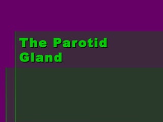 T he Parotid
Gland
 