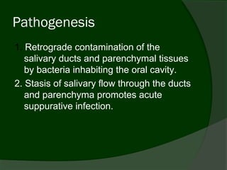 Pathogenesis
1. Retrograde contamination of the
   salivary ducts and parenchymal tissues
   by bacteria inhabiting the oral cavity.
2. Stasis of salivary flow through the ducts
   and parenchyma promotes acute
   suppurative infection.
 