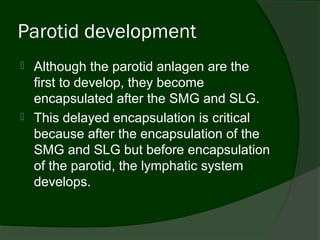 Parotid development
   Although the parotid anlagen are the
    first to develop, they become
    encapsulated after the SMG and SLG.
   This delayed encapsulation is critical
    because after the encapsulation of the
    SMG and SLG but before encapsulation
    of the parotid, the lymphatic system
    develops.
 