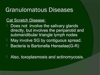 Granulomatous Diseases
Cat Scratch Disease:
 Does not involve the salivary glands
  directly, but involves the periparotid and
  submandibular triangle lymph nodes
 May involve SG by contiguous spread.
 Bacteria is Bartonella Henselae(G-R)


   Also, toxoplasmosis and actinomycosis.
 