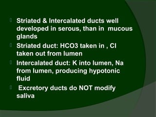    Striated & Intercalated ducts well
    developed in serous, than in mucous
    glands
   Striated duct: HCO3 taken in , Cl
    taken out from lumen
   Intercalated duct: K into lumen, Na
    from lumen, producing hypotonic
    fluid
    Excretory ducts do NOT modify
    saliva
 