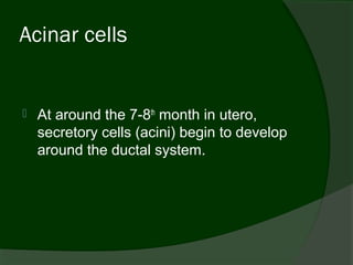 Acinar cells


   At around the 7-8th month in utero,
    secretory cells (acini) begin to develop
    around the ductal system.
 