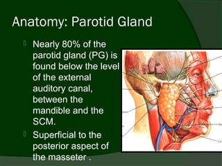 Anatomy: Parotid Gland
    Nearly 80% of the
     parotid gland (PG) is
     found below the level
     of the external
     auditory canal,
     between the
     mandible and the
     SCM.
    Superficial to the
     posterior aspect of
     the masseter .
 