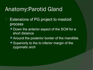 Anatomy:Parotid Gland
   Extensions of PG project to mastoid
    process
    Down the anterior aspect of the SCM for a
     short distance
    Around the posterior border of the mandible.
    Superiorly to the to inferior margin of the
     zygomatic arch
 