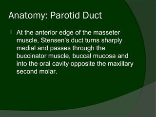 Anatomy: Parotid Duct
   At the anterior edge of the masseter
    muscle, Stensen’s duct turns sharply
    medial and passes through the
    buccinator muscle, buccal mucosa and
    into the oral cavity opposite the maxillary
    second molar.
 