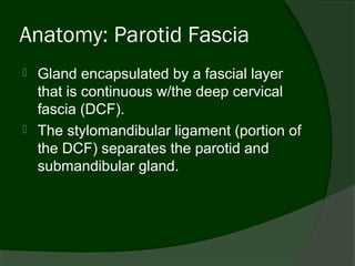 Anatomy: Parotid Fascia
   Gland encapsulated by a fascial layer
    that is continuous w/the deep cervical
    fascia (DCF).
   The stylomandibular ligament (portion of
    the DCF) separates the parotid and
    submandibular gland.
 