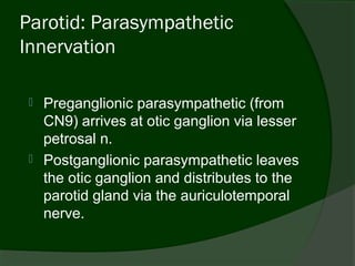 Parotid: Parasympathetic
Innervation

    Preganglionic parasympathetic (from
     CN9) arrives at otic ganglion via lesser
     petrosal n.
    Postganglionic parasympathetic leaves
     the otic ganglion and distributes to the
     parotid gland via the auriculotemporal
     nerve.
 