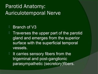 Parotid Anatomy:
Auriculotemporal Nerve

    Branch of V3
    Traverses the upper part of the parotid
     gland and emerges from the superior
     surface with the superficial temporal
     vessels.
    It carries sensory fibers from the
     trigeminal and post-ganglionic
     parasympathetic (secretory)fibers.
 