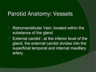 Parotid Anatomy: Vessels

   Retromandibular Vein: located within the
    substance of the gland
   External carotid : at the inferior level of the
    gland, the external carotid divides into the
    superficial temporal and internal maxillary
    artery.
 