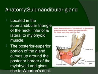 Anatomy:Submandibular gland
   Located in the
    submandibular triangle
    of the neck, inferior &
    lateral to mylohyoid
    muscle.
   The posterior-superior
    portion of the gland
    curves up around the
    posterior border of the
    mylohyoid and gives
    rise to Wharton’s duct.
 